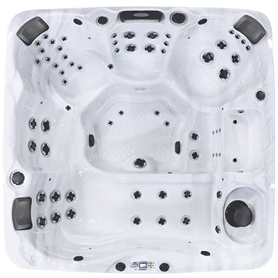 Avalon EC-867L hot tubs for sale in Sparks