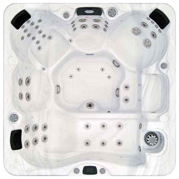 Avalon-X EC-867LX hot tubs for sale in Sparks